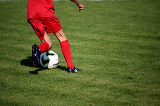 华体会app下载-篮球运动员心理韧性提升及干预体系建设，篮球运动员的心理训练